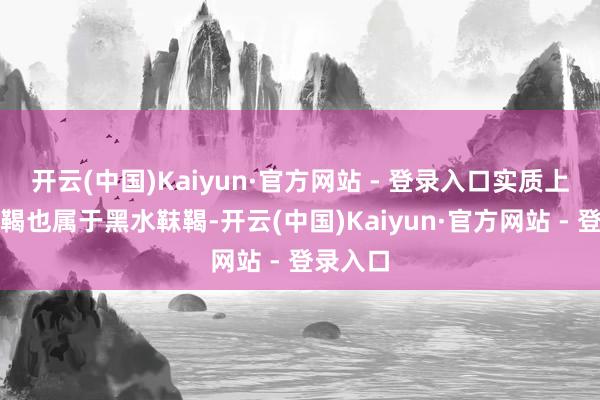 开云(中国)Kaiyun·官方网站 - 登录入口实质上粟末靺鞨也属于黑水靺鞨-开云(中国)Kaiyun·官方网站 - 登录入口